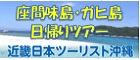 座間味島・ガヒ島ツアーは近畿日本ツーリストへ