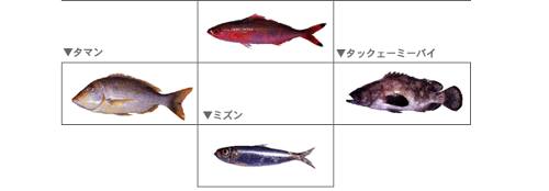 fish02.jpg