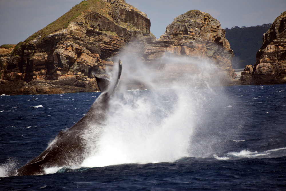 サクバルをバックに
