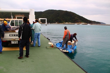 ②船荷物積み.jpg