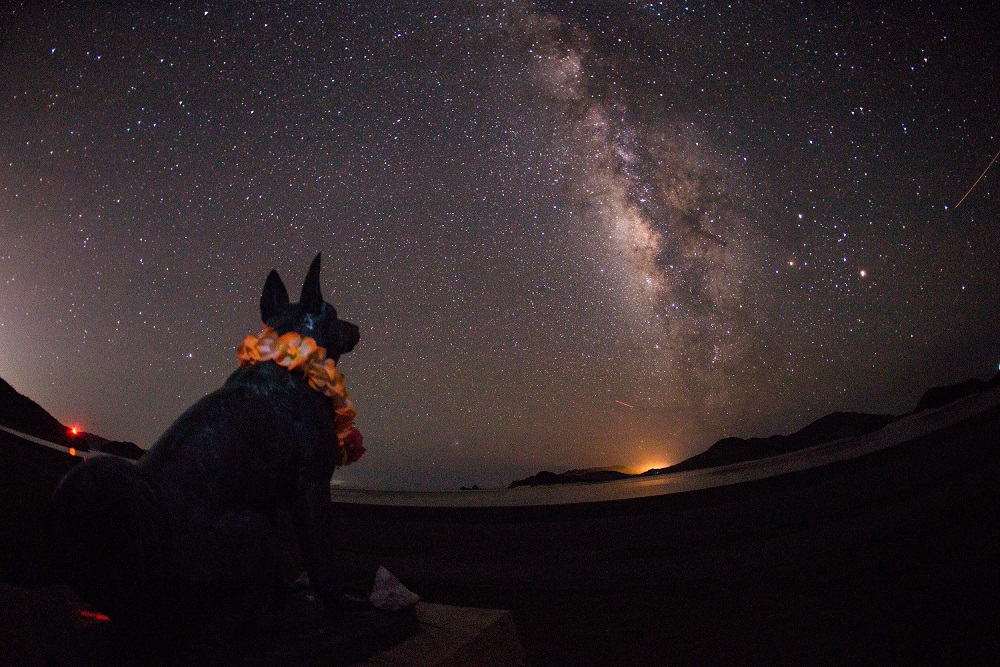 座間味島　マリリン像前から見える星空