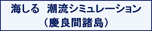 海しる　潮流シミュレーション（慶良間諸島）