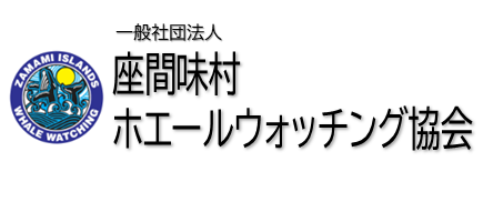 一般社団法人座間味村ホエールウォッチング協会